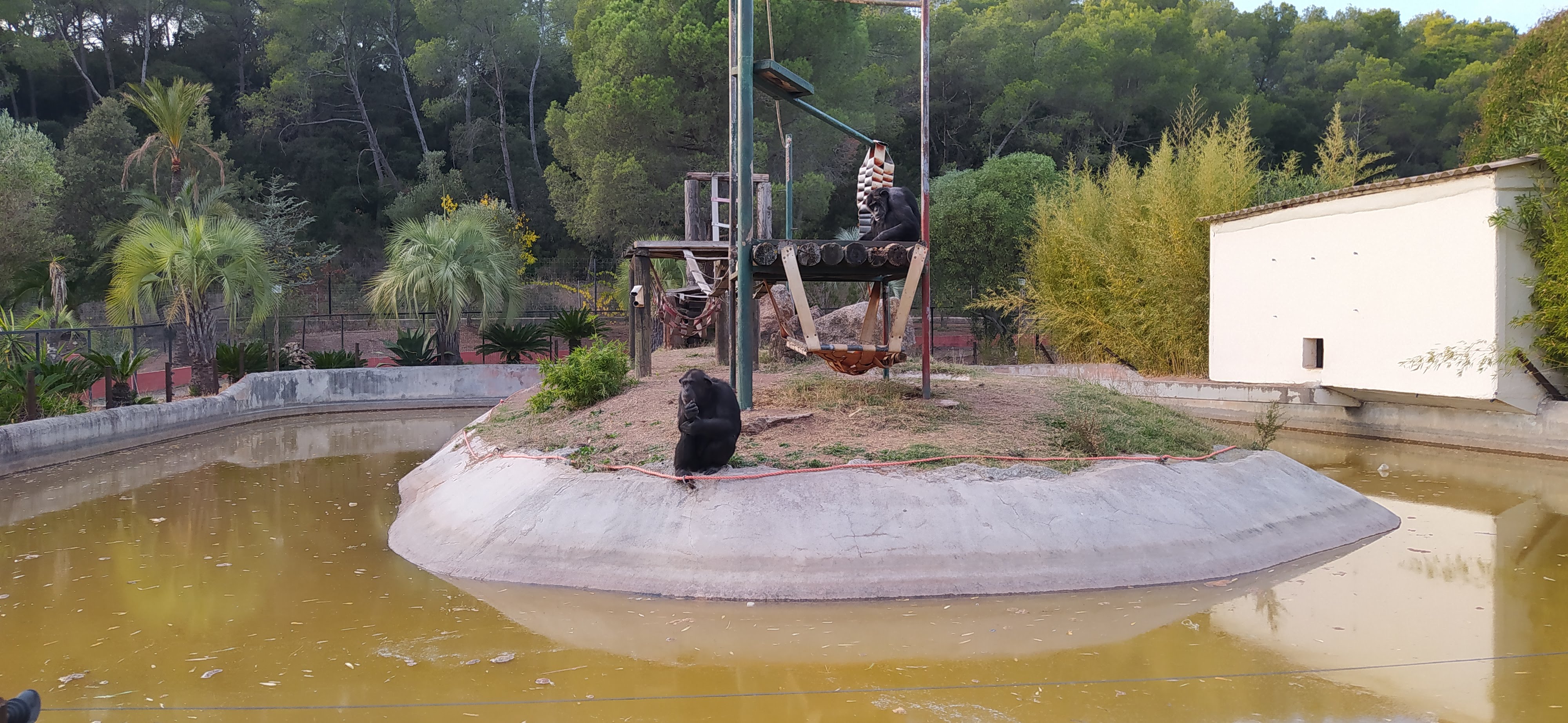 Photo n° 9 de l'avis de Sylvie.a fait le 29/10/2021 à 16:06