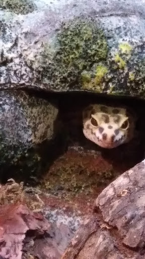 Pet Supply Store «PetSmart», reviews and photos, 5050 SE 14th St, Des Moines, IA 50320, USA