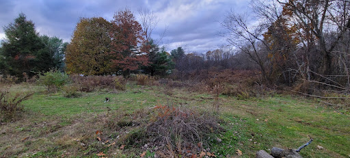 Equipment Rental Agency «Cash True Value Home Center», reviews and photos, 1561 Main St, Willimantic, CT 06226, USA