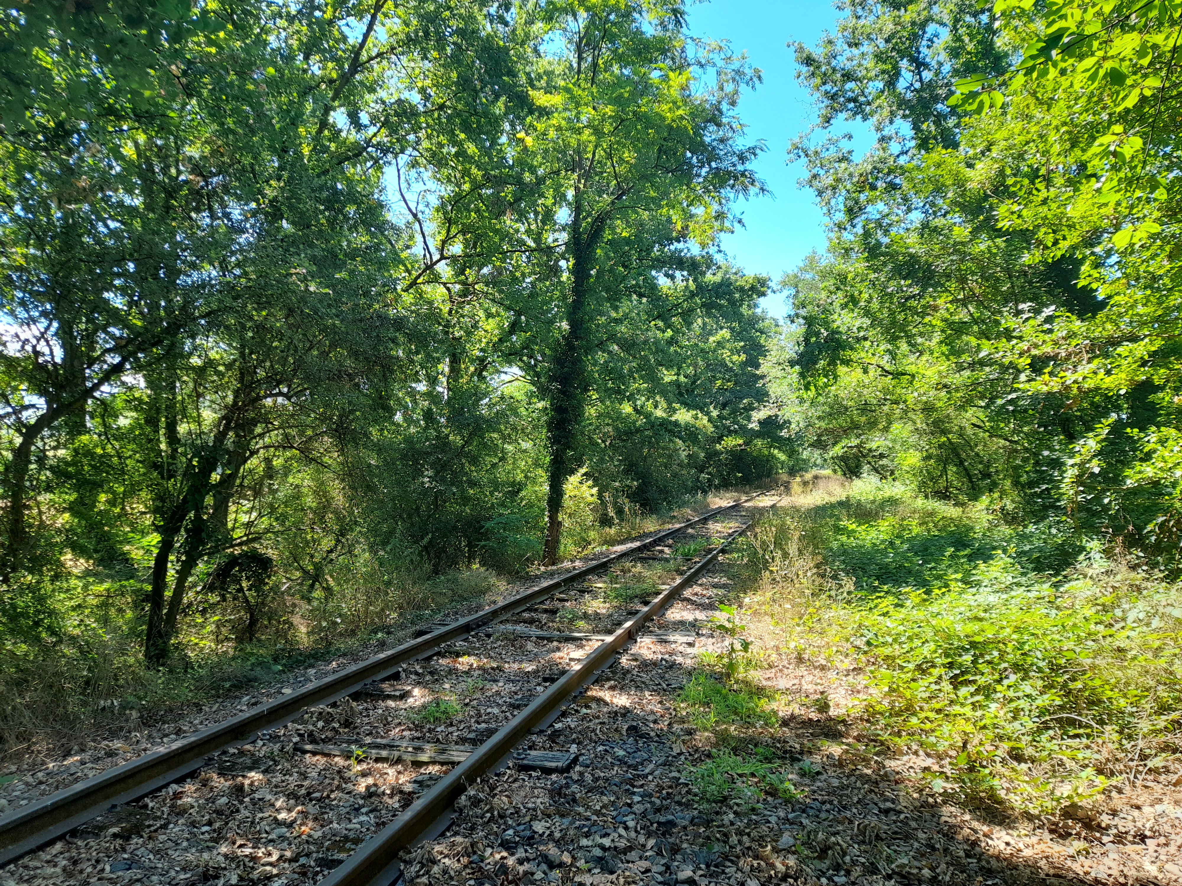 Photo n° 2 de l'avis de Jeune.o fait le 11/07/2022 à 19:17