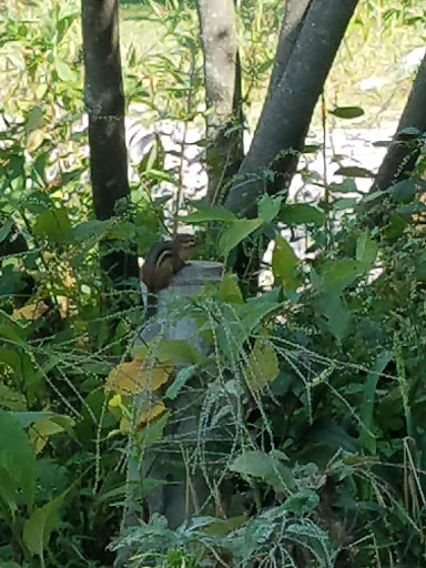 Nature Preserve «Crystal Lake Park District», reviews and photos, 330 N Main St, Crystal Lake, IL 60014, USA