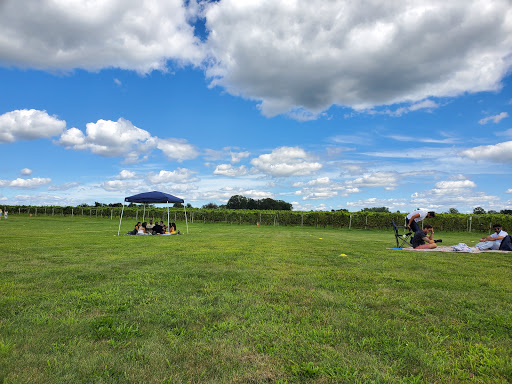 Winery «Working Dog Winery», reviews and photos, 610 Windsor Perrineville Rd, Robbinsville, NJ 08691, USA