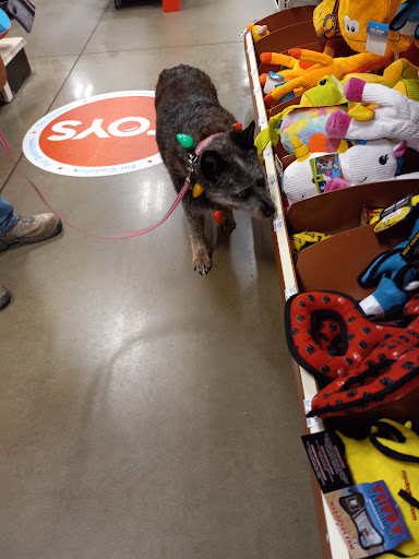 Pet Supply Store «PetSmart», reviews and photos, 225 NW Commons Loop, Lake City, FL 32055, USA