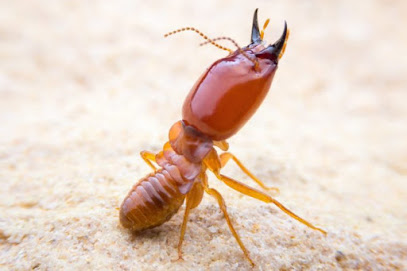 Pest Friends Termite & Pest Control