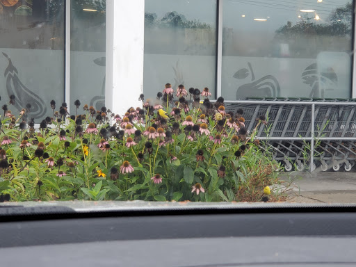 Grocery Store «Mrs. Green’s Neighborhood Market», reviews and photos, 666 Lexington Ave #1, Mt Kisco, NY 10549, USA