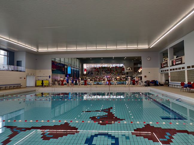 Reacties en beoordelingen van Olympisch zwemcentrum Wezenberg