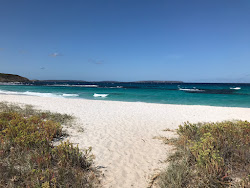 Short Beach'in fotoğrafı vahşi alan