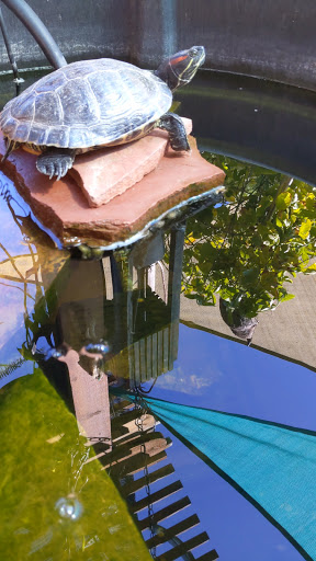 Landscaping Supply Store «Southwest Boulder & Stone», reviews and photos, 4770 Santa Fe St, San Diego, CA 92109, USA