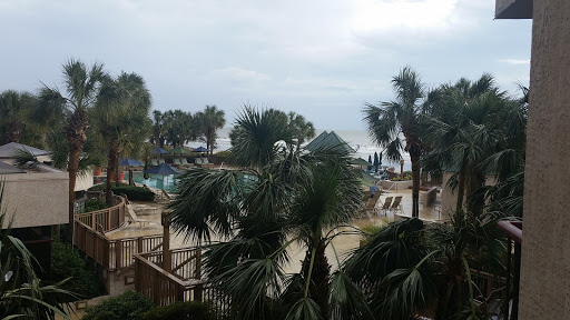 Spa Resort «Hilton Head Marriott Resort & Spa», reviews and photos