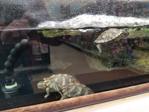 Pet Supply Store «Petco Animal Supplies», reviews and photos, 1412 S Main Chapel Way, Gambrills, MD 21054, USA