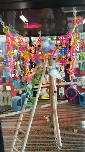 Pet Supply Store «Petco Animal Supplies», reviews and photos, 8909 Branch Ave d, Clinton, MD 20735, USA
