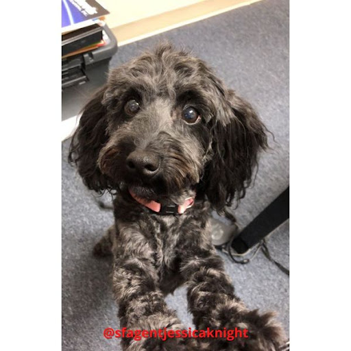 Insurance Agency «Jessica Knight - State Farm Insurance Agent», reviews and photos