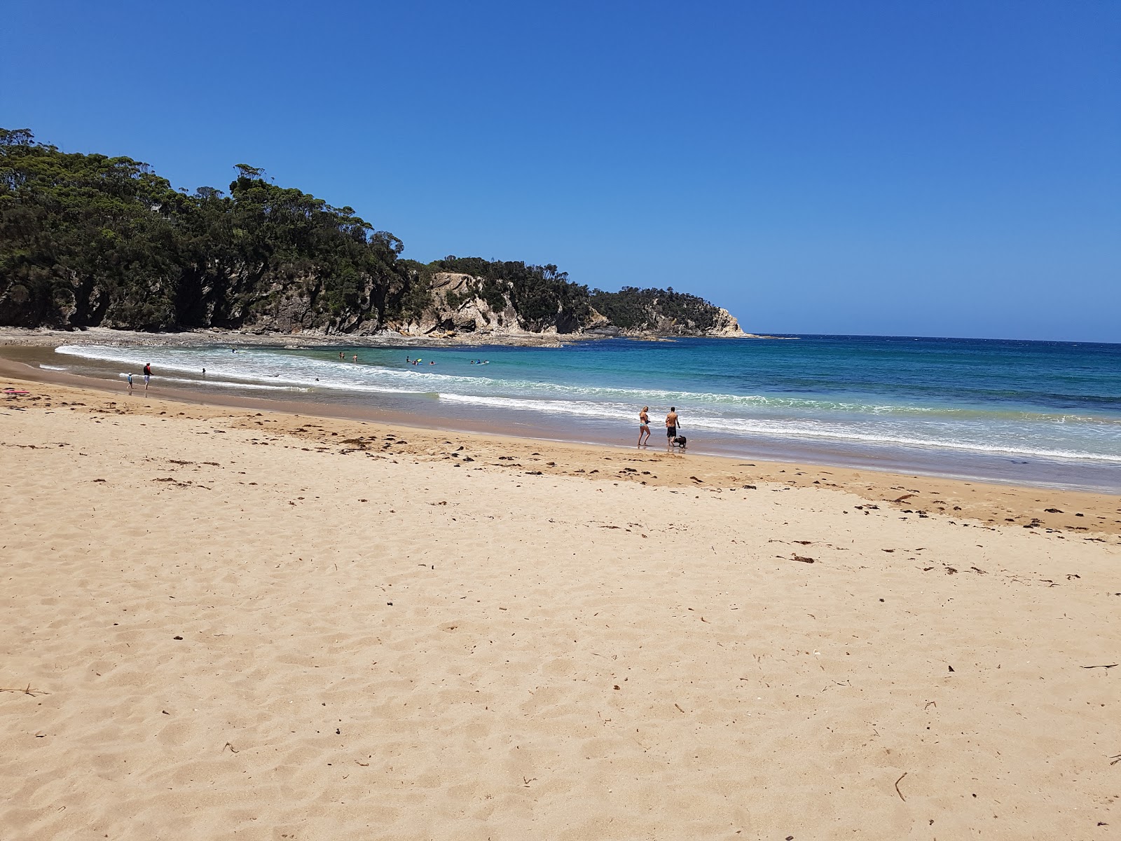 Photo de Mckenzies Beach avec un niveau de propreté de très propre