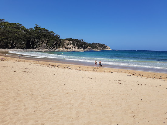 Mckenzies Beach