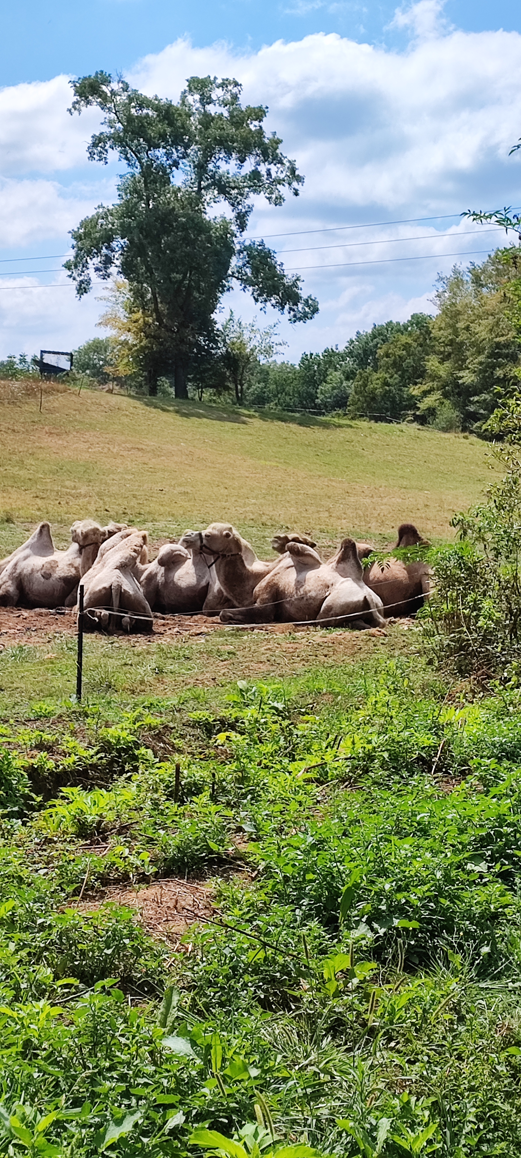 Photo n° 5 de l'avis de Florence.e fait le 15/08/2023 à 17:20