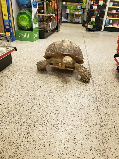 Pet Store «Rockstar Pets», reviews and photos, 215 N Main St, Tooele, UT 84074, USA