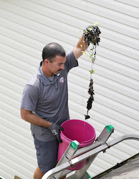 Superior Softwash Solutions - Photo 9 - Car repair in Baton Rouge, LA, Baton Rouge