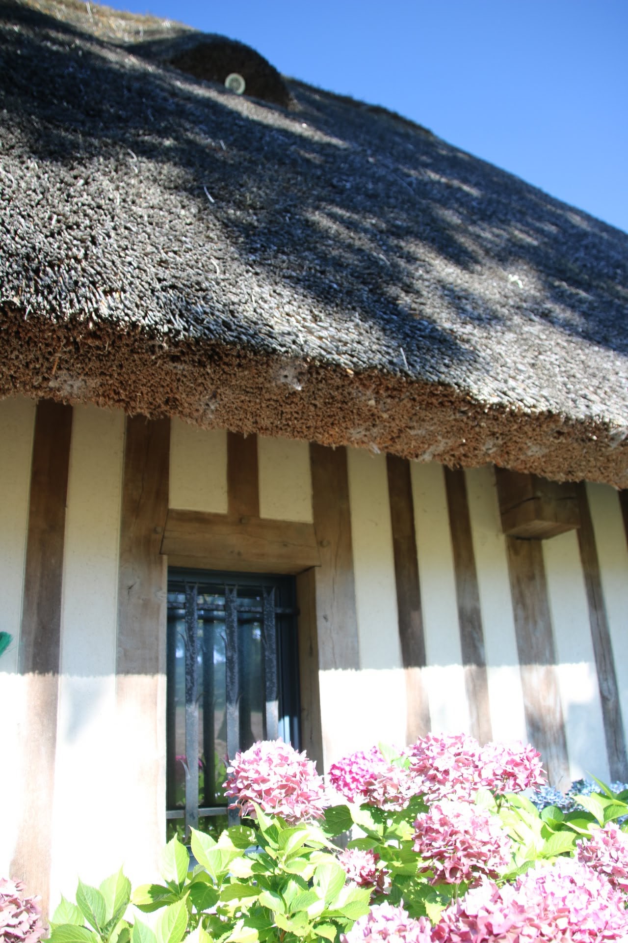 Photo n° 15 de l'avis de Rich. fait le 21/08/2018 à 18:53