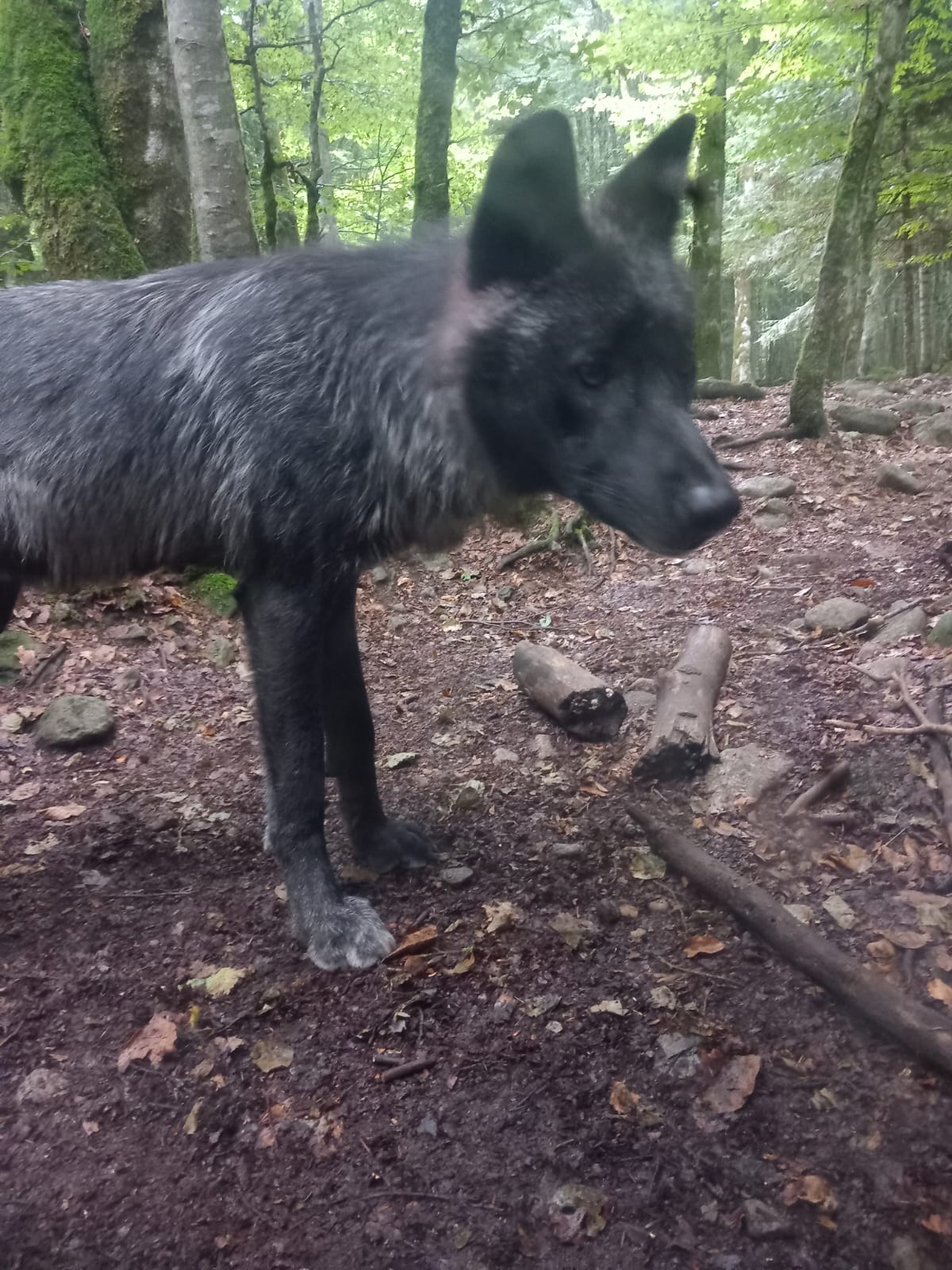 Photo n° 2 de l'avis de celine.u fait le 28/07/2023 à 12:40