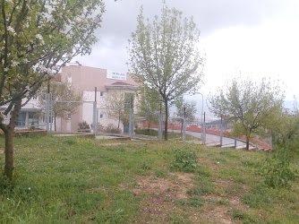 Muallim Naci Anadolu Lisesi