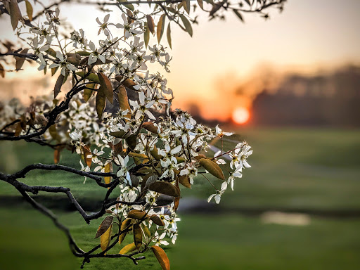 Golf Club «Lawrence Park Golf Club», reviews and photos, 3700 E Lake Rd, Erie, PA 16511, USA