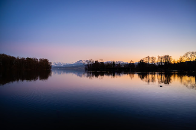 Triechter Buvette - Sursee