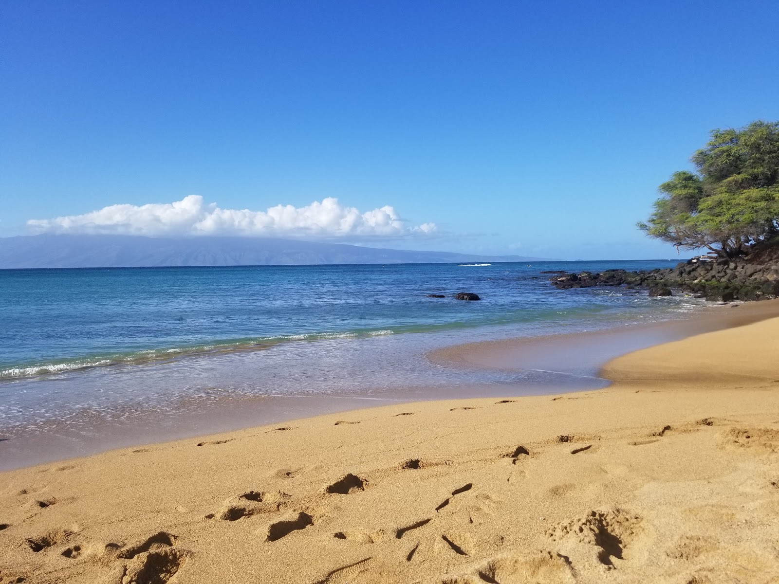Foto av Pohaku beach bekvämlighetsområde