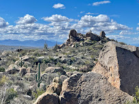 Homegrown Mountain Biking Tours - Photo 6 - Car repair in , Tucson