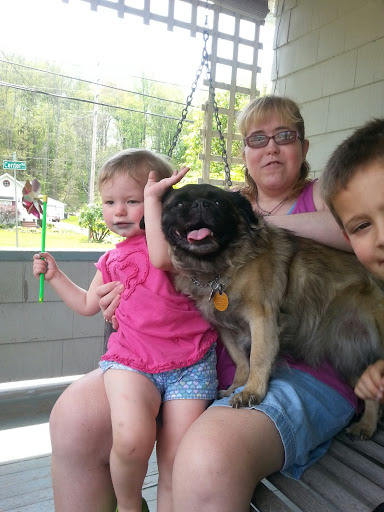 Tack Shop «Valley Tack Shop Inc», reviews and photos, 6780 Center Rd, Valley City, OH 44280, USA