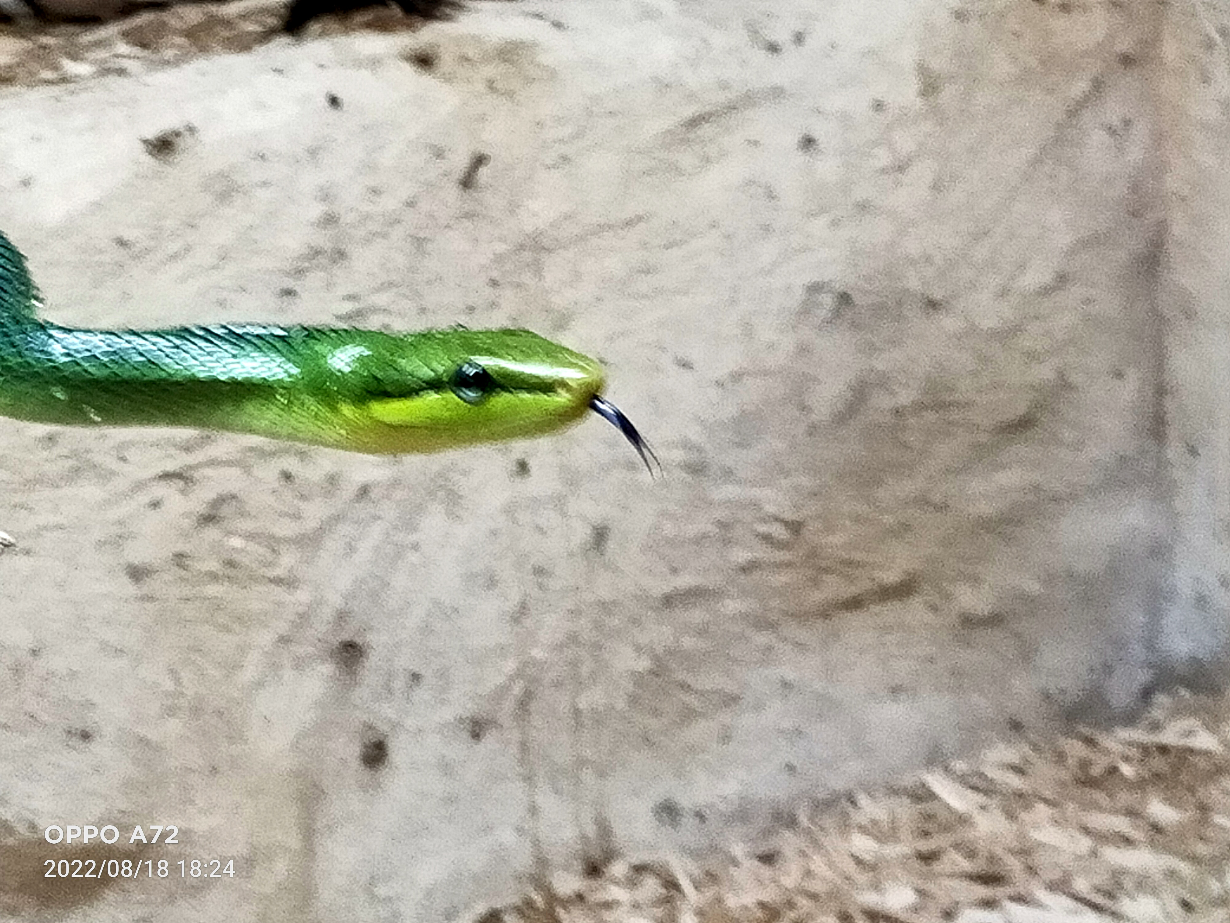 Photo n° 6 de l'avis de Laëtitia.o fait le 19/08/2022 à 08:13