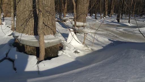 Nature Preserve «Captain Daniel Wright Woods Forest Preserve», reviews and photos, 24830 N St Marys Rd, Mettawa, IL 60045, USA