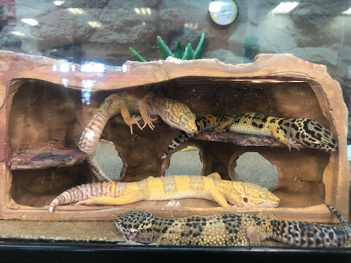 Pet Supply Store «Petco Animal Supplies», reviews and photos, 403 N 8th St, West Dundee, IL 60118, USA