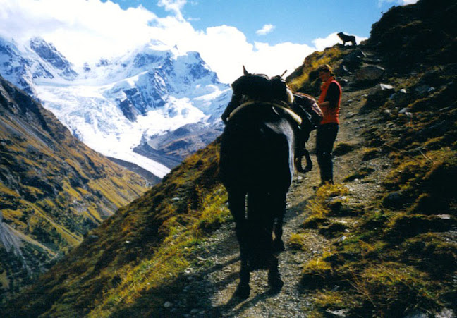 Bernstrasse 158, 4852 Rothrist