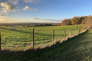 Hounds & Bounds, Woodland Walkies and Bark & Bound image