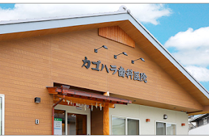 Kagohara Dental Clinic image