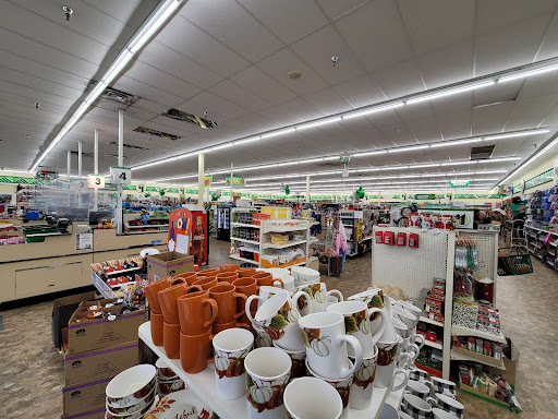 Dollar Store «Dollar Tree», reviews and photos, 723 W State Rte 22, Lake Zurich, IL 60047, USA