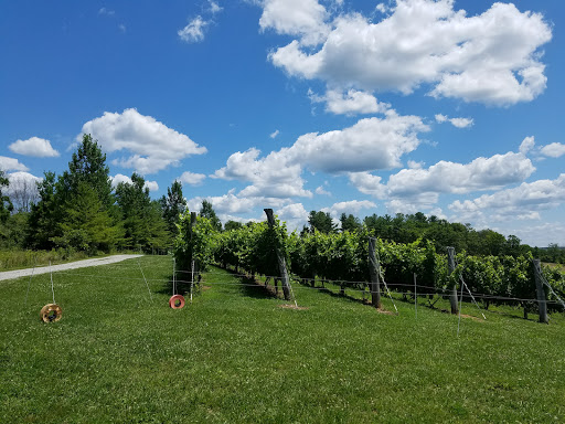 Winery «Shade Winery», reviews and photos, 401 Gilkey Ridge Rd, Shade, OH 45776, USA