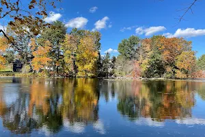 Russell Mill Pond and Town Forest image