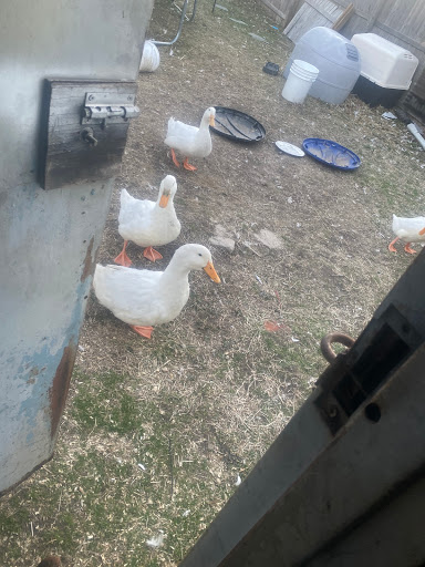 Pet Supply Store «English Creek Supply», reviews and photos, 3088 English Creek Ave, Egg Harbor Township, NJ 08234, USA