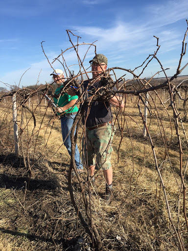 Winery «Massbach Ridge Winery», reviews and photos, 8837 S Massbach Rd, Elizabeth, IL 61028, USA