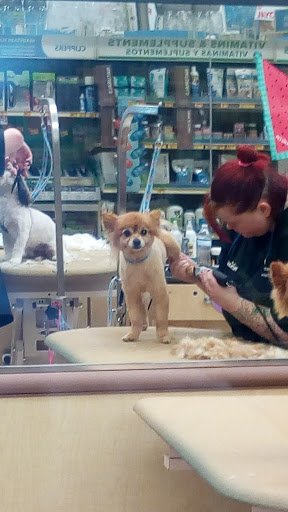 Pet Supply Store «PetSmart», reviews and photos, 5435 W TX-1604 Loop N, San Antonio, TX 78253, USA