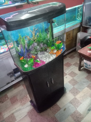 kanha fish paradise