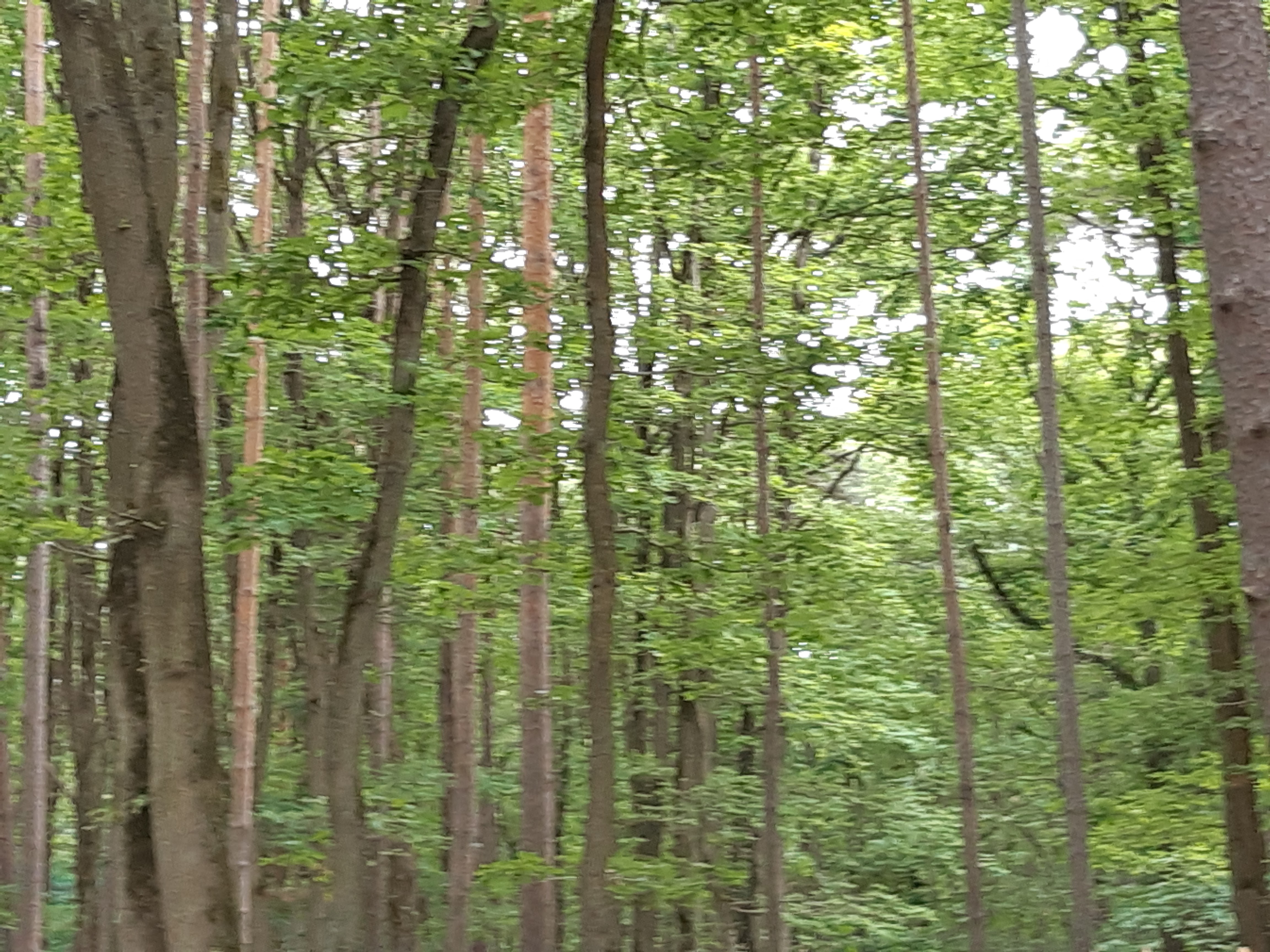 Photo n° 3 de l'avis de Armelle.a fait le 16/06/2019 à 16:10