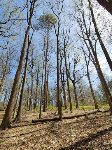 Nature Preserve «Fernbank Forest», reviews and photos, 767 Clifton Rd, Atlanta, GA 30307, USA