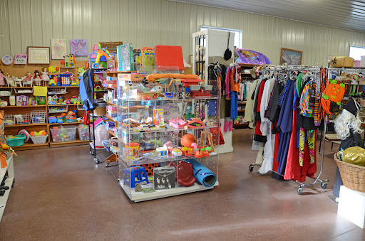 Thrift Store «Gridley Spare & Share Shoppe», reviews and photos, 111 N Ford St, Gridley, IL 61744, USA