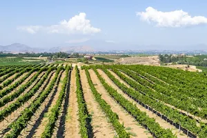 Mount Palomar Winery image