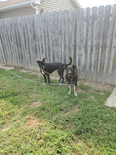 Nappanee Veterinary Hospital veterinary clinic