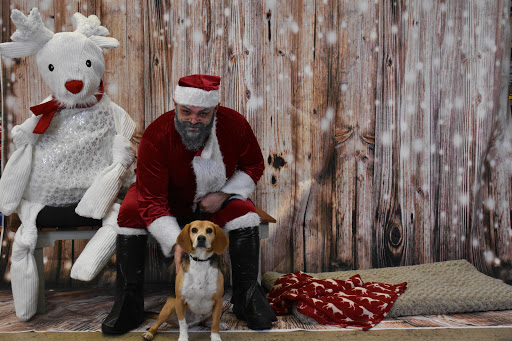 Pet Supply Store «Thomaston Feed of Cheshire», reviews and photos, 851 S Main St, Cheshire, CT 06410, USA