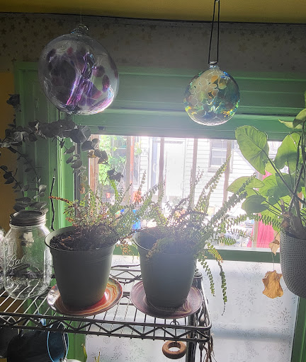 Gift Shop «Planet Earth Gallery», reviews and photos, 2385 PA-611, Scotrun, PA 18355, USA