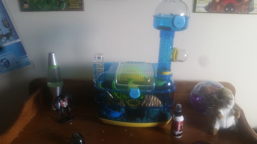 Pet Store «Cody PET DEPOT», reviews and photos, 556 Yellowstone Ave, Cody, WY 82414, USA